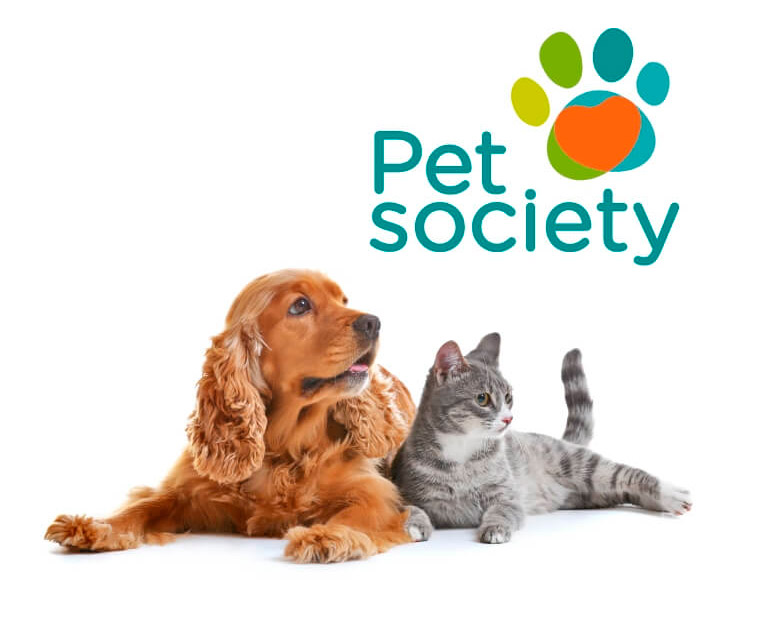 A Pet Society | Soft Care